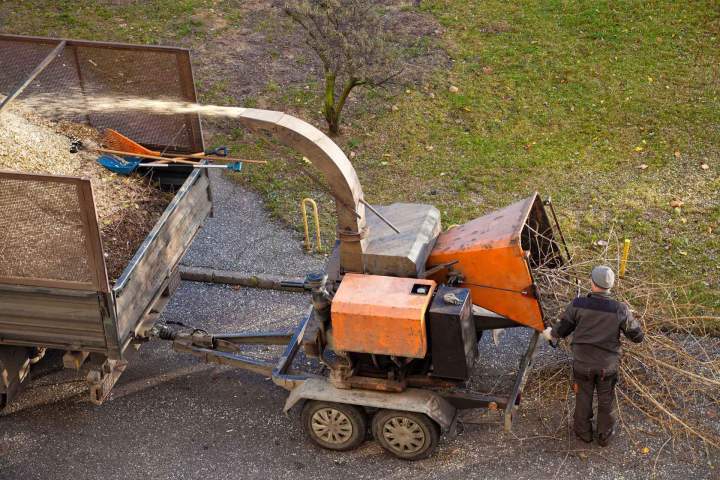 Solutions efficaces pour nettoyer vos terrains